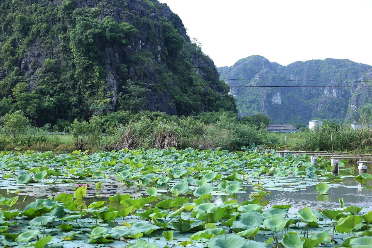 Hàm Rồng Homestay Ninh Bình Extérieur photo