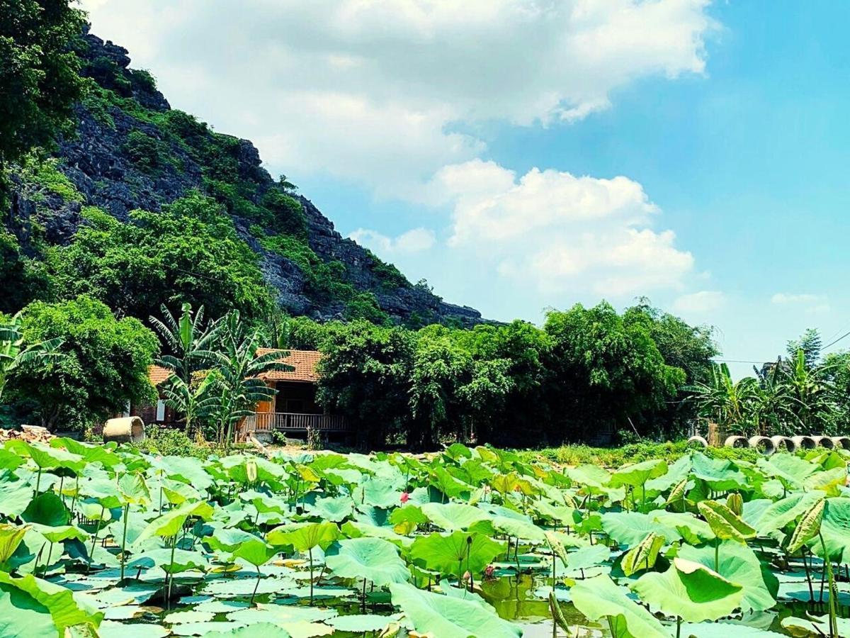 Hàm Rồng Homestay Ninh Bình Extérieur photo