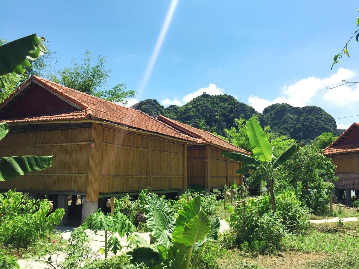 Hàm Rồng Homestay Ninh Bình Extérieur photo
