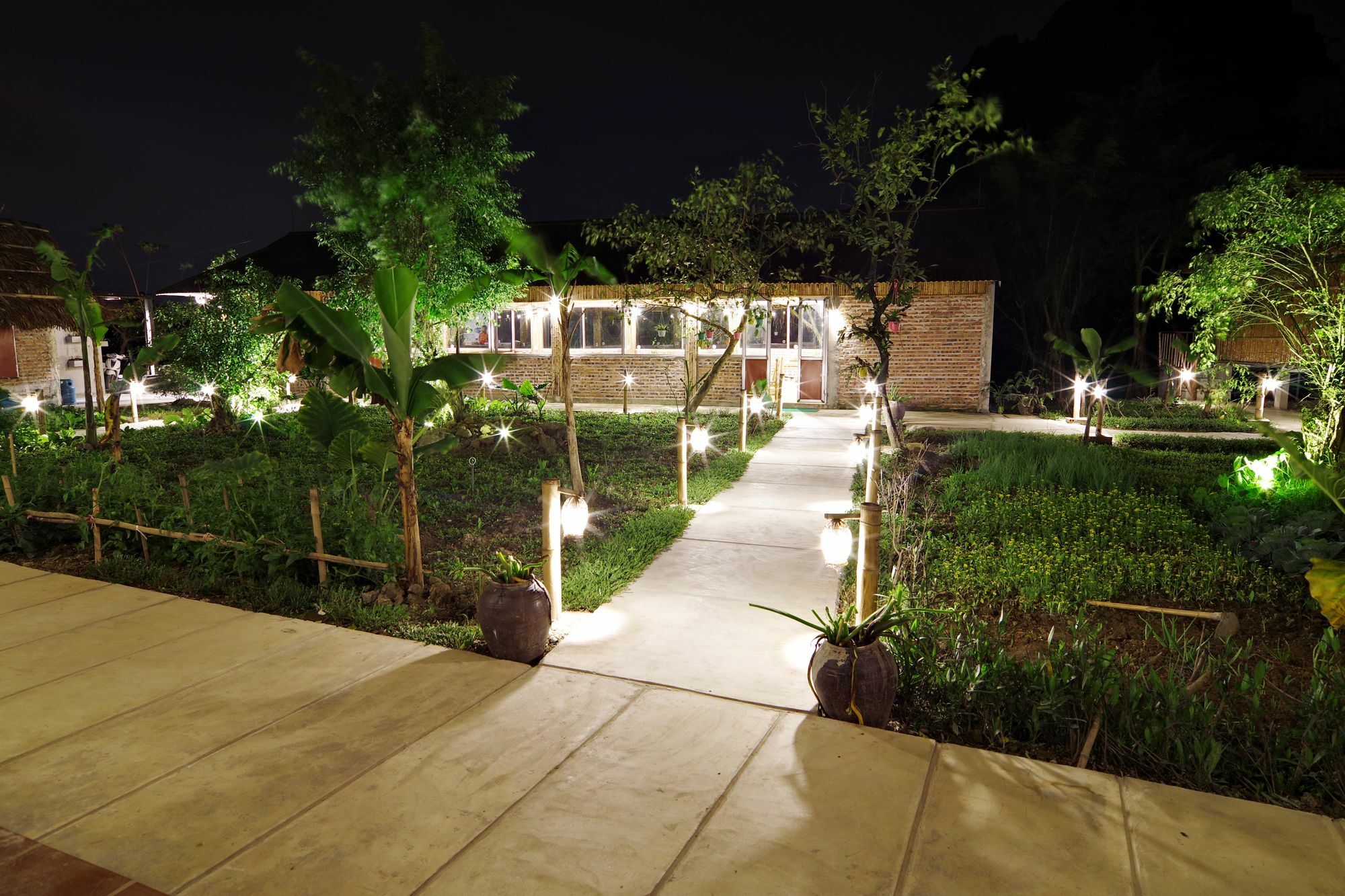Hàm Rồng Homestay Ninh Bình Extérieur photo