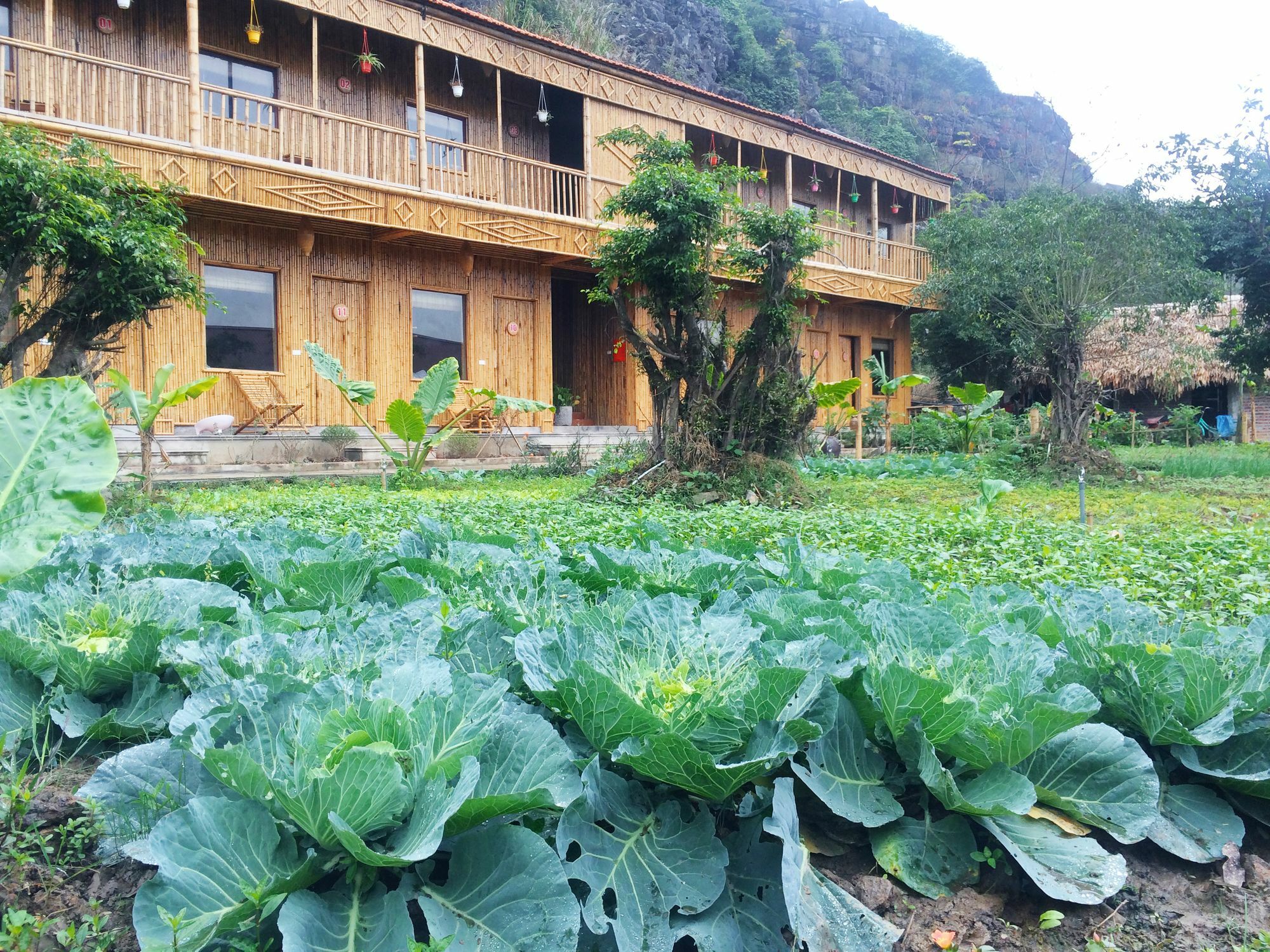 Hàm Rồng Homestay Ninh Bình Extérieur photo