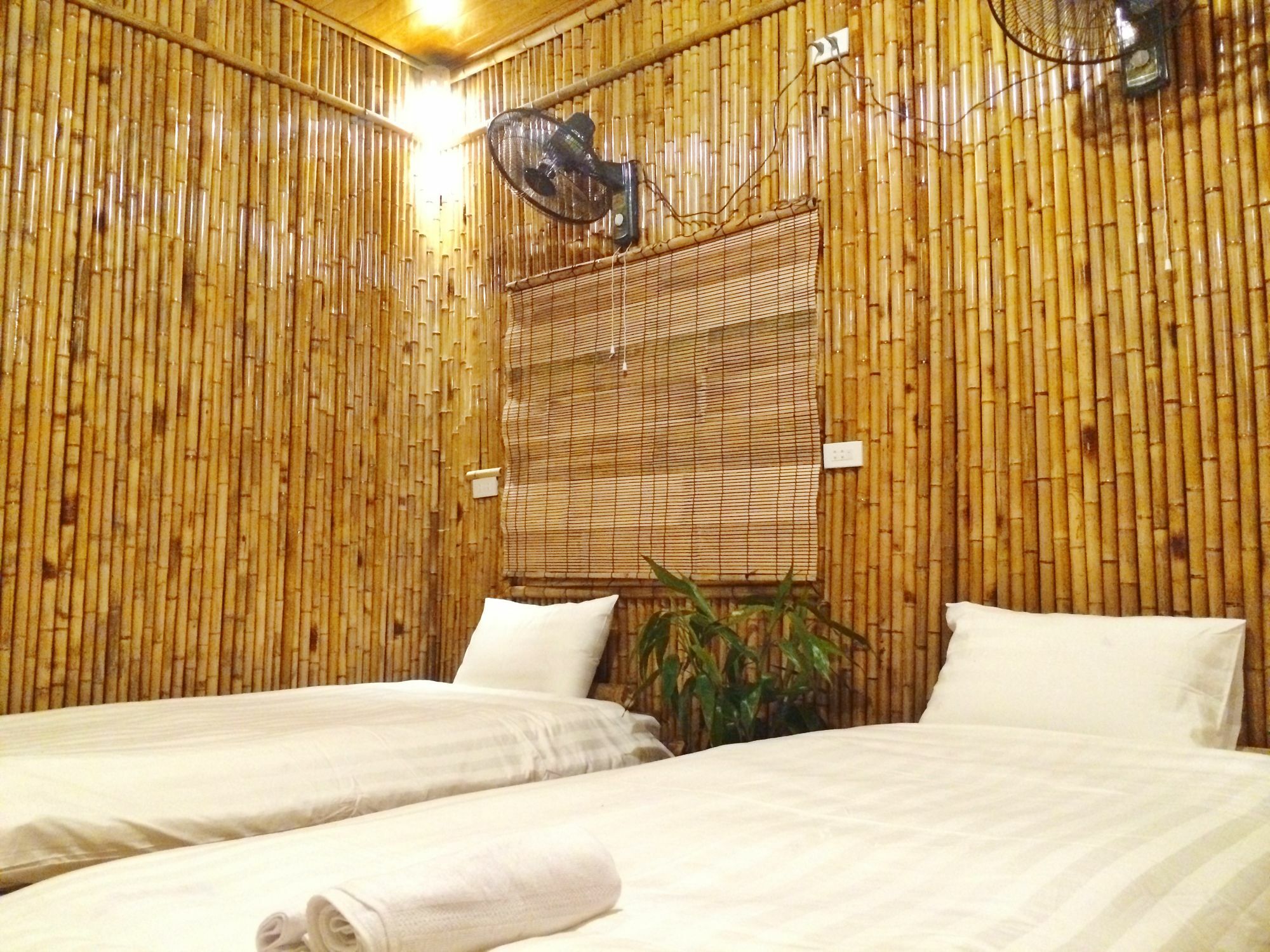 Hàm Rồng Homestay Ninh Bình Extérieur photo